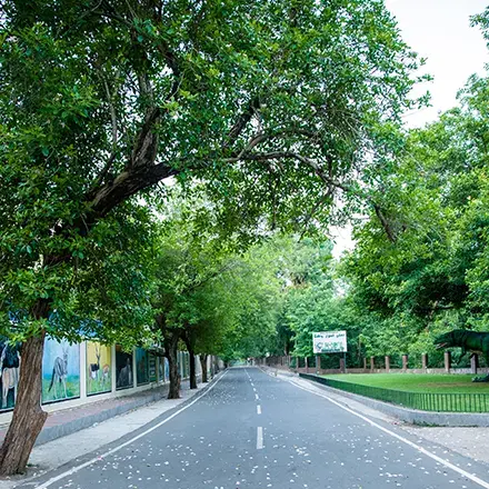 Interpretation Center.webp